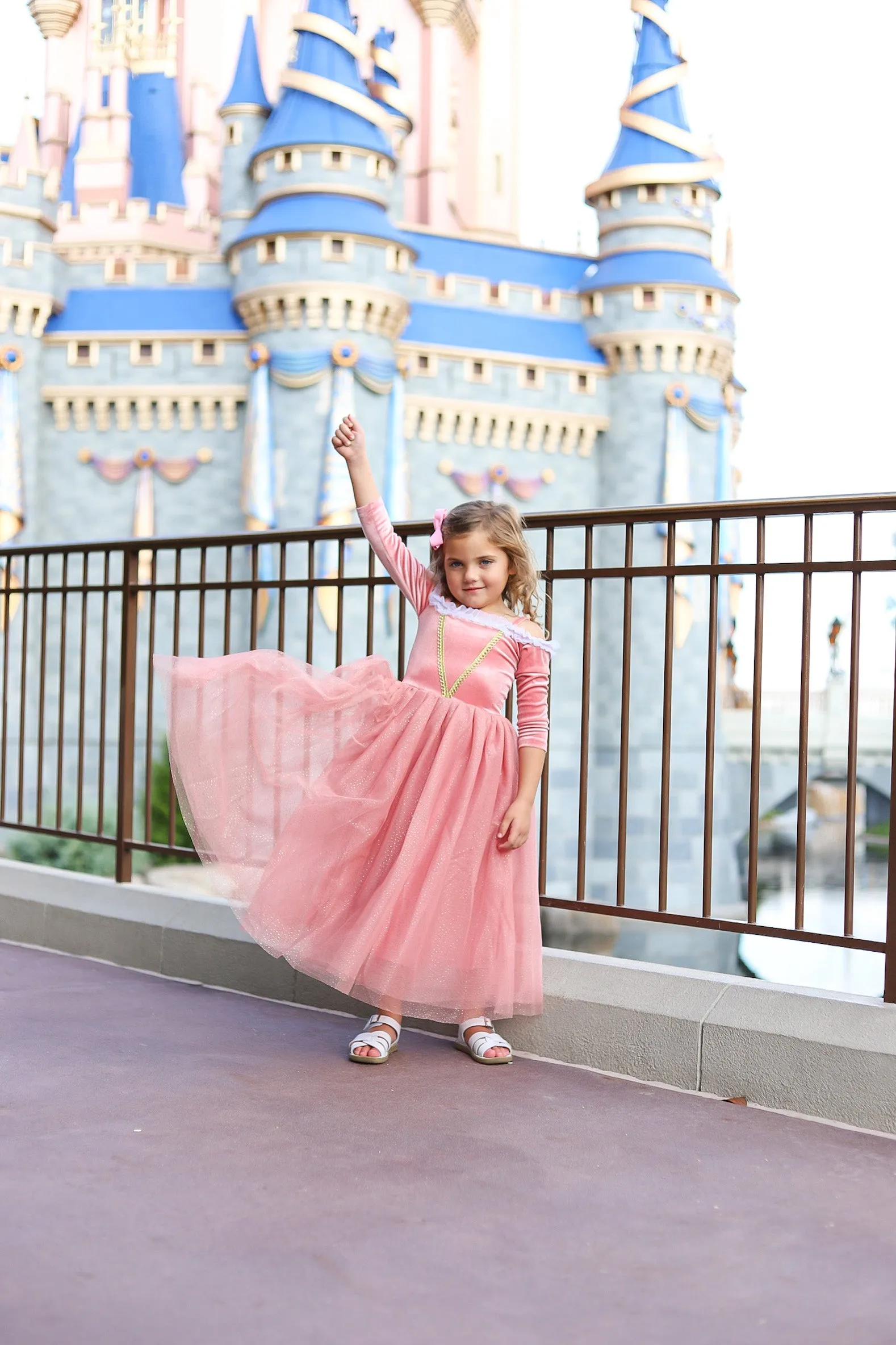 Princess Briar Rose Pink Costume Dress