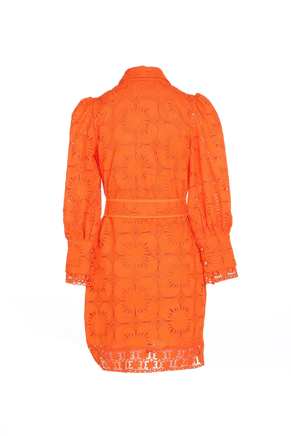 Tiger Orange Allover Lace Dress